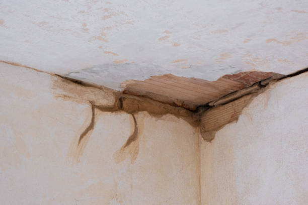 Best Water damage restoration near me  in Great Bend, KS