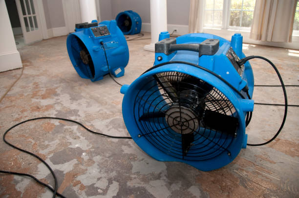 Best Professional water damage repair  in Great Bend, KS