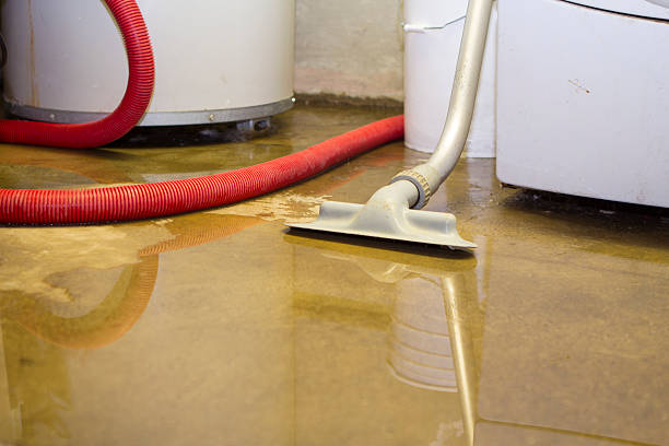 Best Carpet water damage restoration  in Great Bend, KS