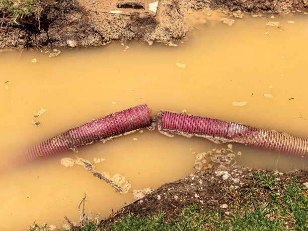 Best Local water damage restoration  in Great Bend, KS