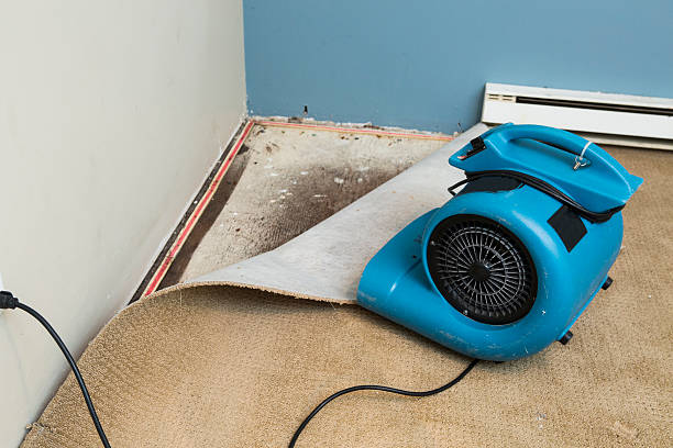 Best Water damage contractors near me  in Great Bend, KS